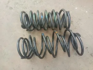 Toyota Ipsum Coilspring