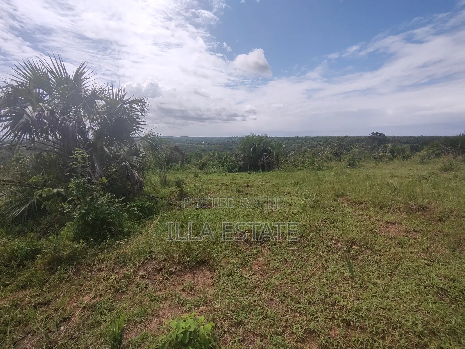 High Growth Area for Development