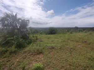 High Growth Area for Development