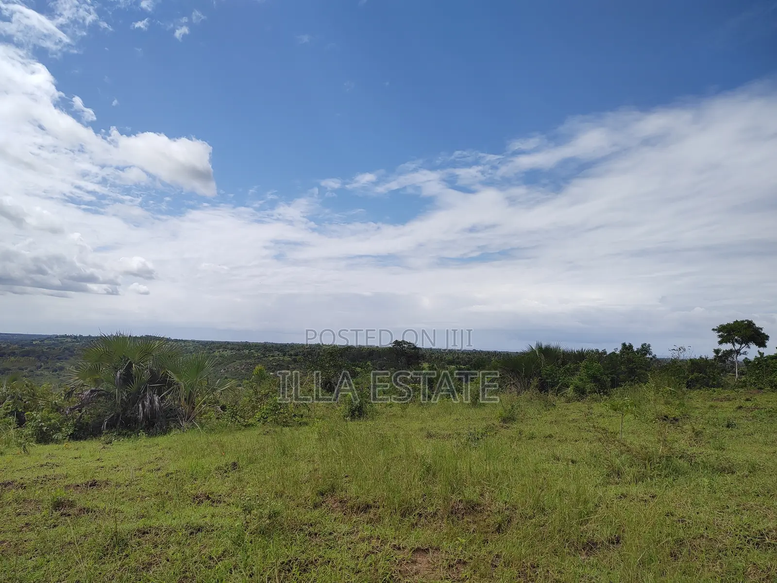 High Growth Area for Development