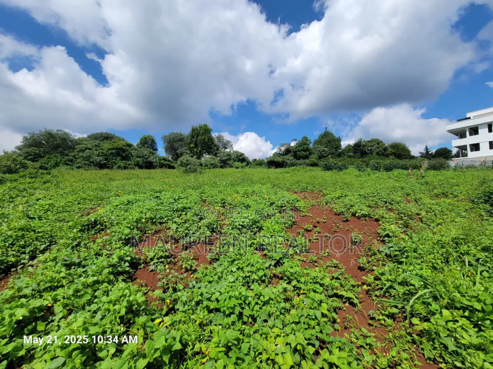 50x100 Golf Course  Plots - Migaa