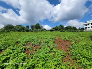 50x100 Golf Course  Plots - Migaa