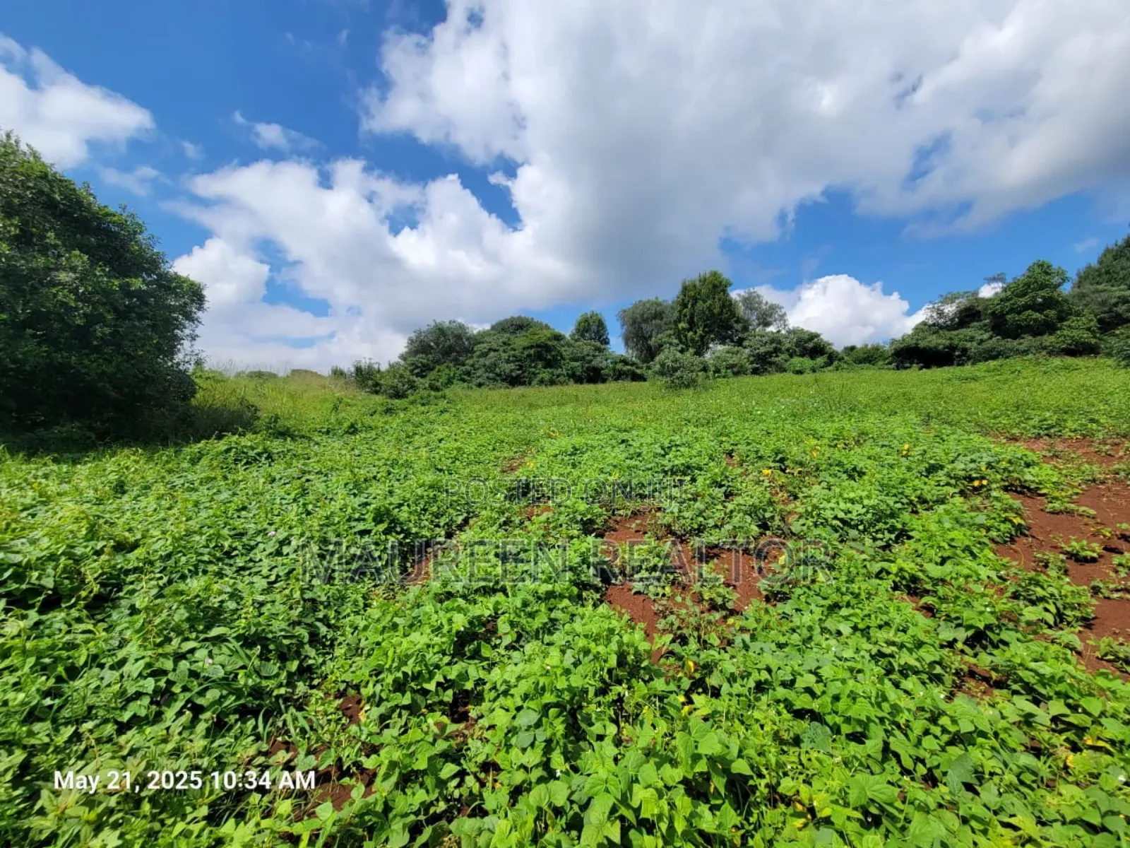 50x100 Golf Course  Plots - Migaa