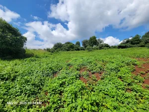 50x100 Golf Course  Plots - Migaa
