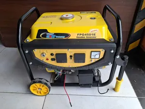 4.5kva Lenhard Golf Petrol Generator