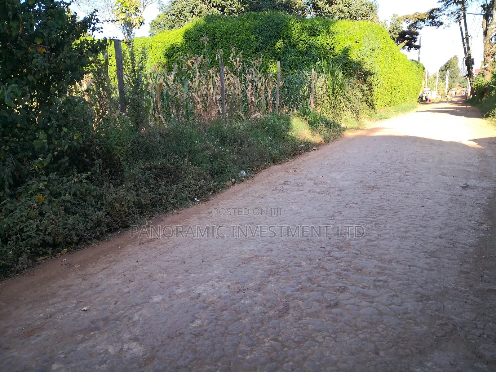 100 by 100 Plot in Kinoo Kiambu County.