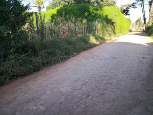100 by 100 Plot in Kinoo Kiambu County.