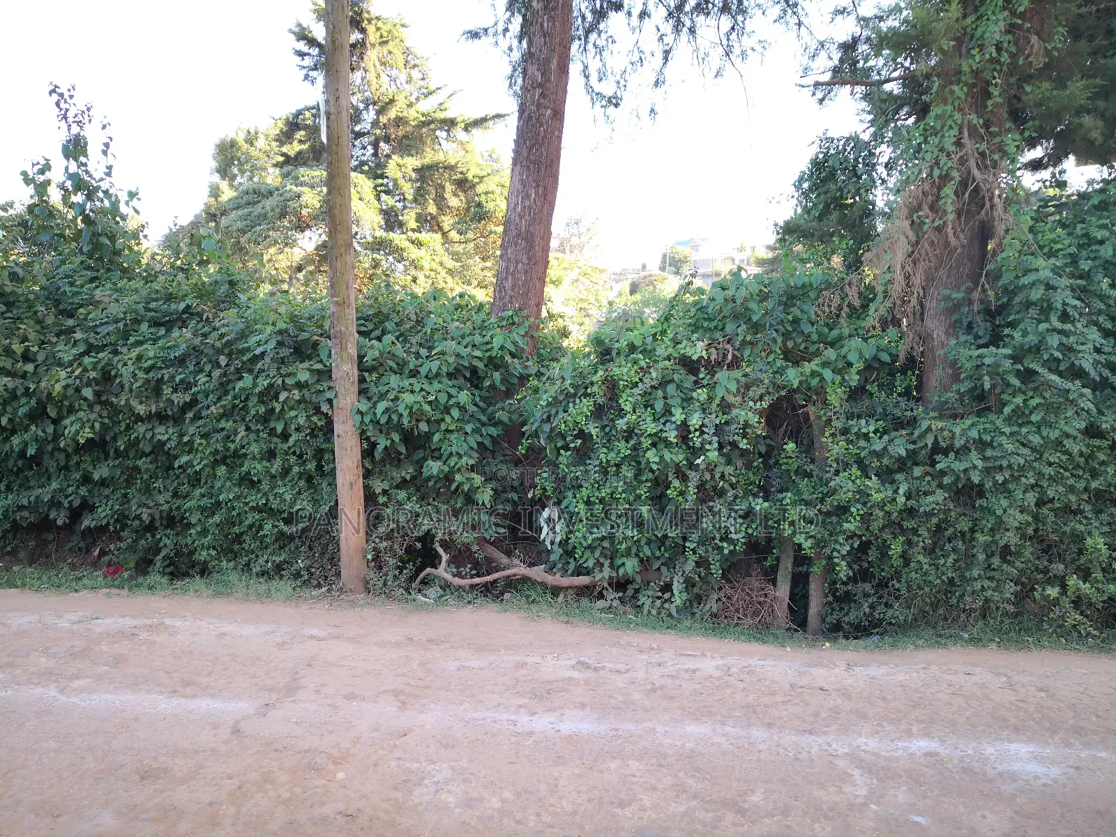 100 by 100 Plot in Kinoo Kiambu County.