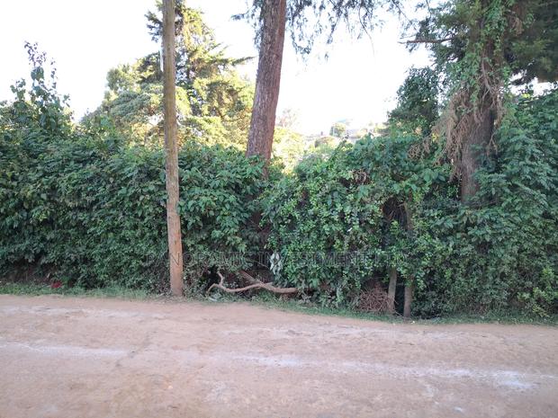 100 by 100 Plot in Kinoo Kiambu County. - thumbnail 8