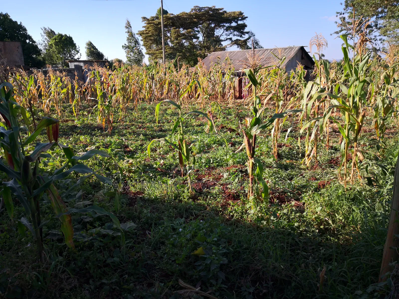 100 by 100 Plot in Kinoo Kiambu County.