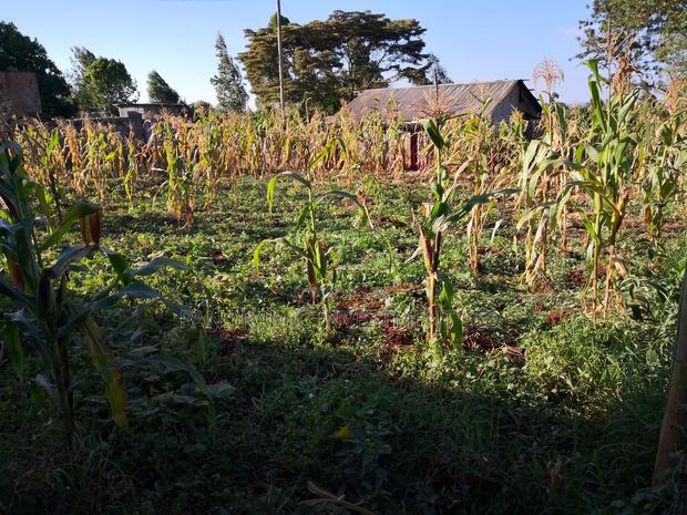 100 by 100 Plot in Kinoo Kiambu County. - thumbnail 11