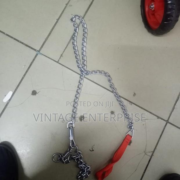 Dog Chain* - main view