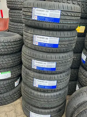 245/45r17 Goddard