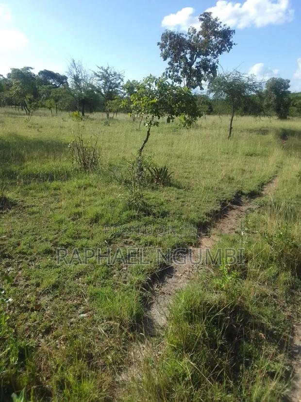 40 Acres at Kithimani Mamba - thumbnail 4