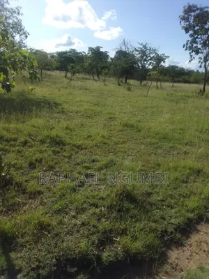 40 Acres at Kithimani Mamba