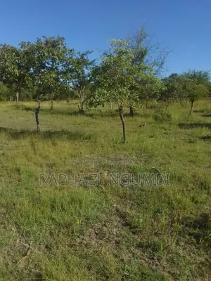 40 Acres at Kithimani Mamba