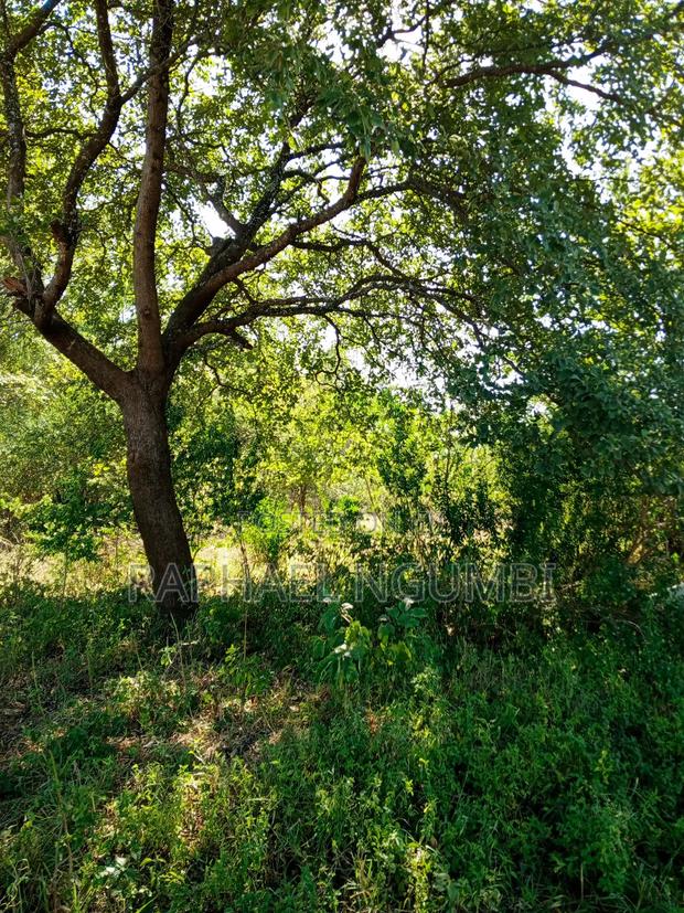 Ten (10) Acres at Machakos Kithangaini