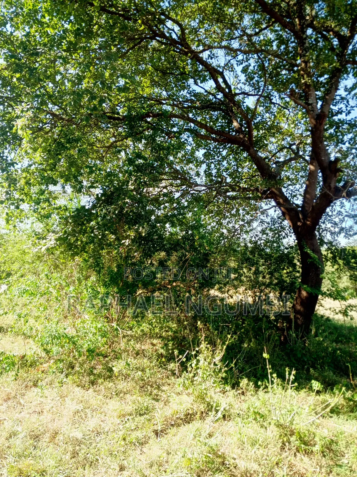 Ten (10) Acres at Machakos Kithangaini