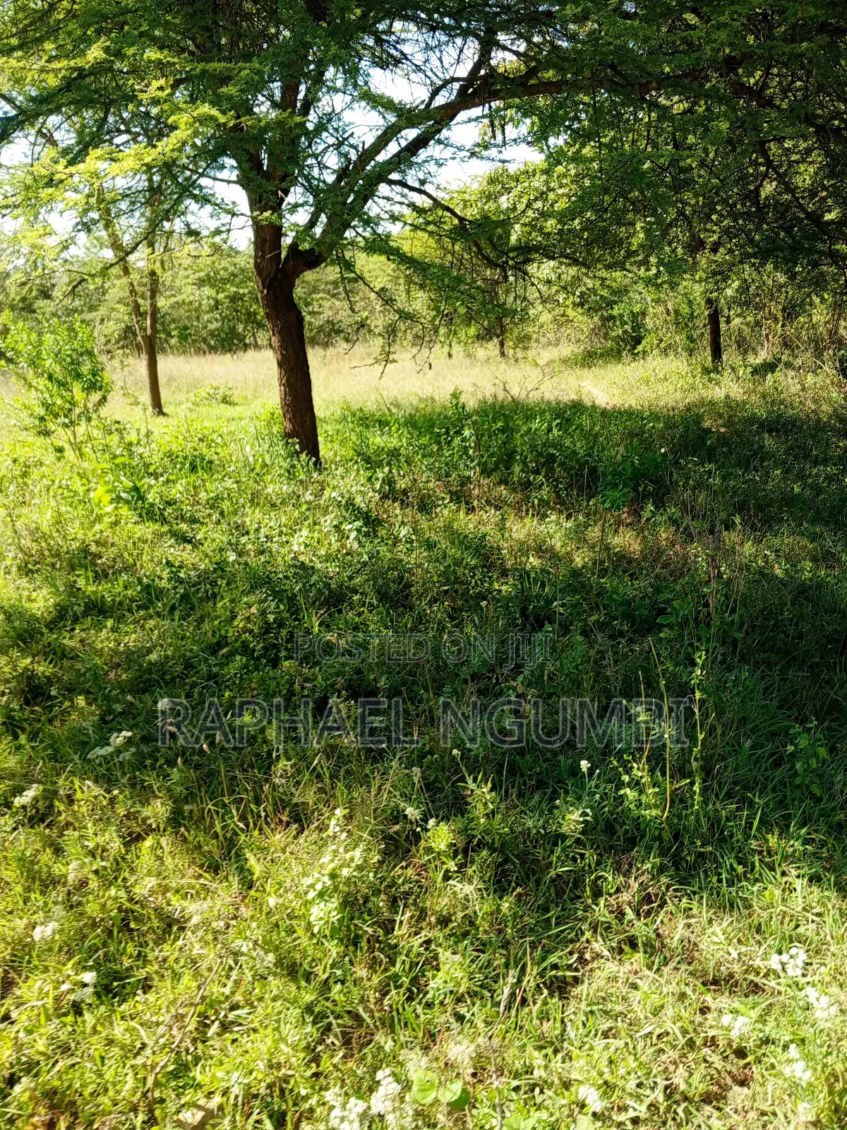 Ten (10) Acres at Machakos Kithangaini