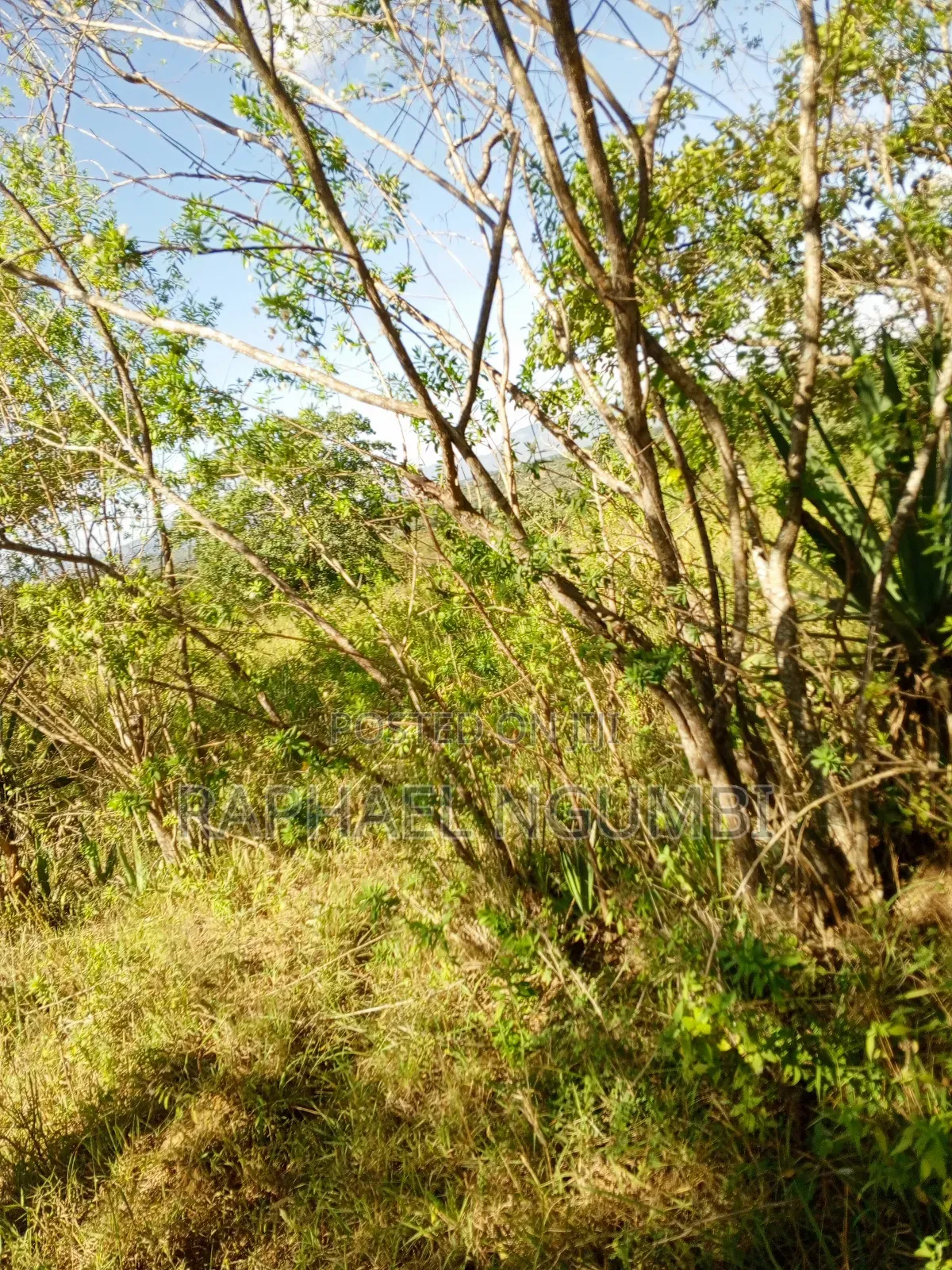 Ten (10) Acres at Machakos Kithangaini