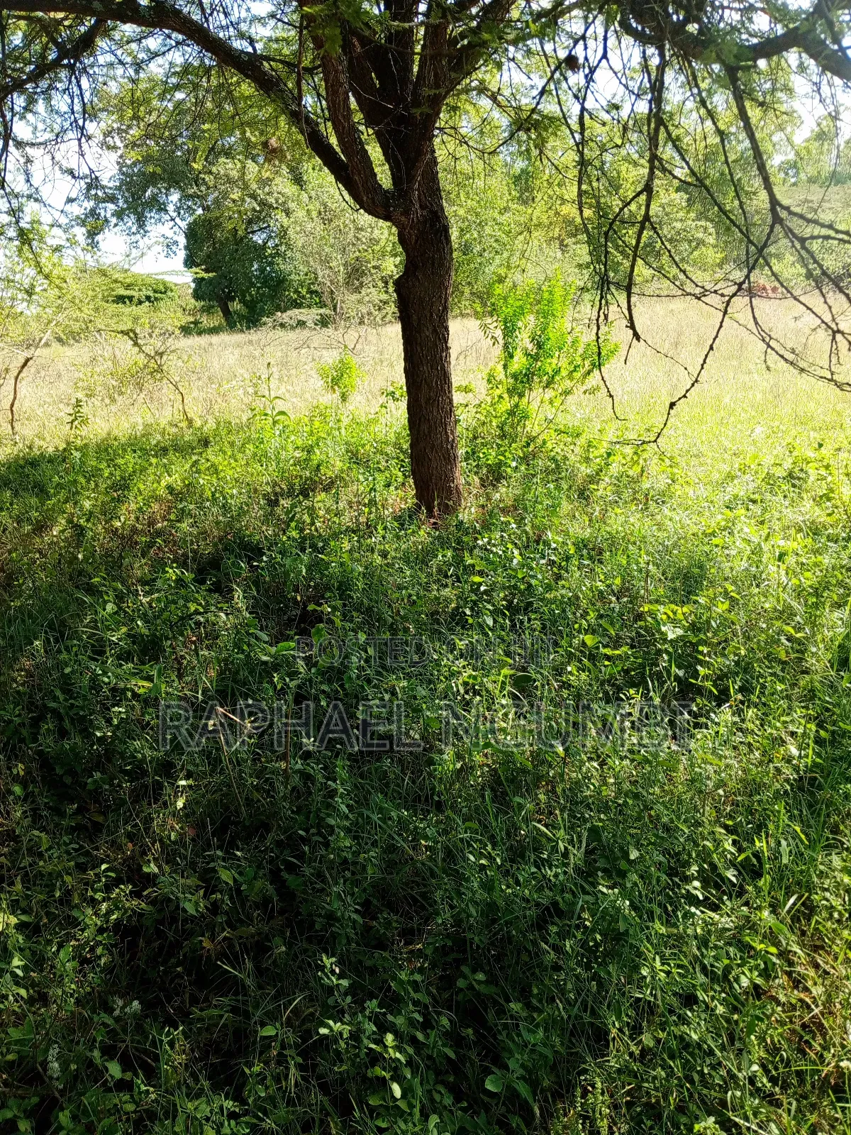 Ten (10) Acres at Machakos Kithangaini