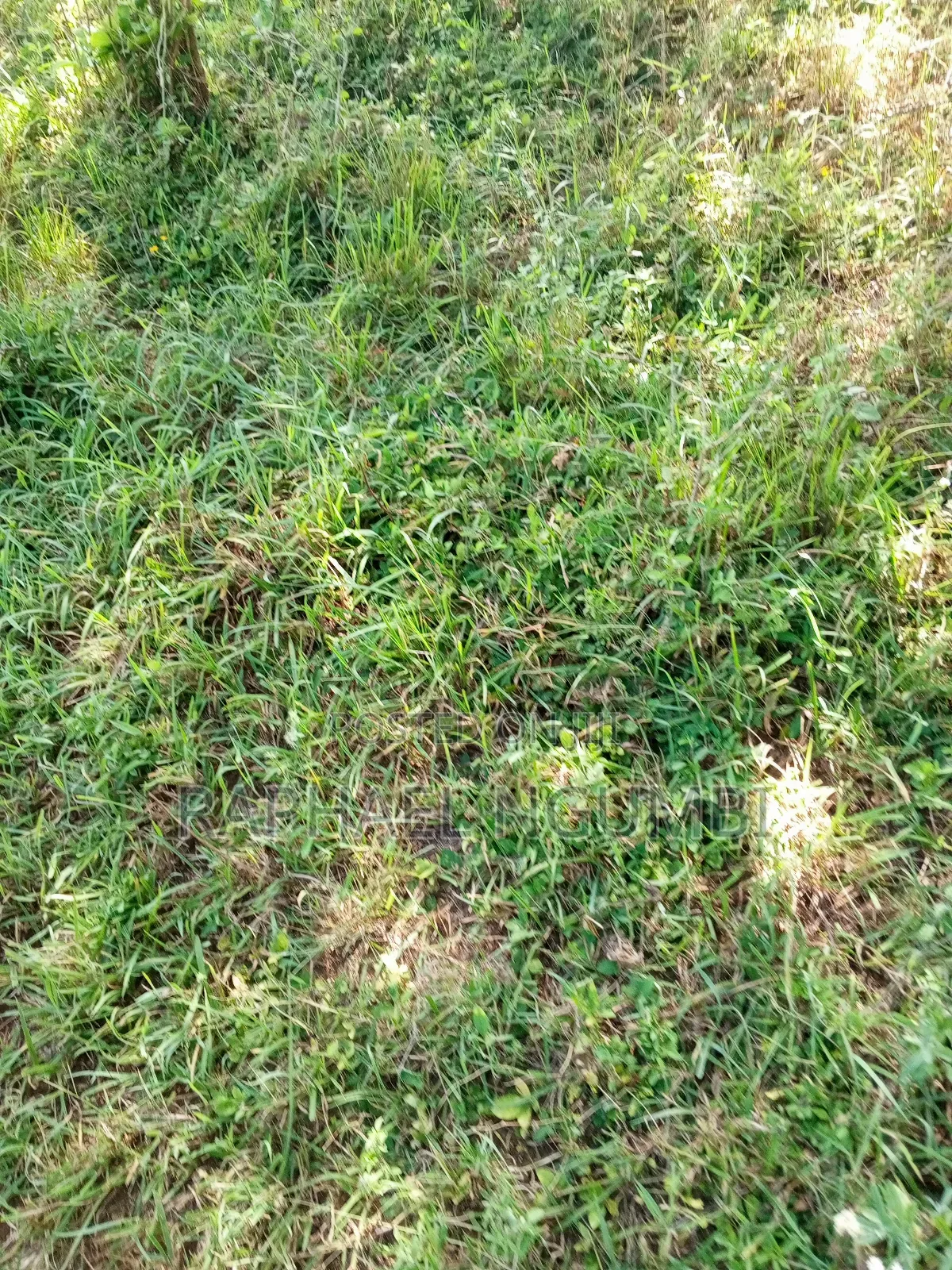 Ten (10) Acres at Machakos Kithangaini