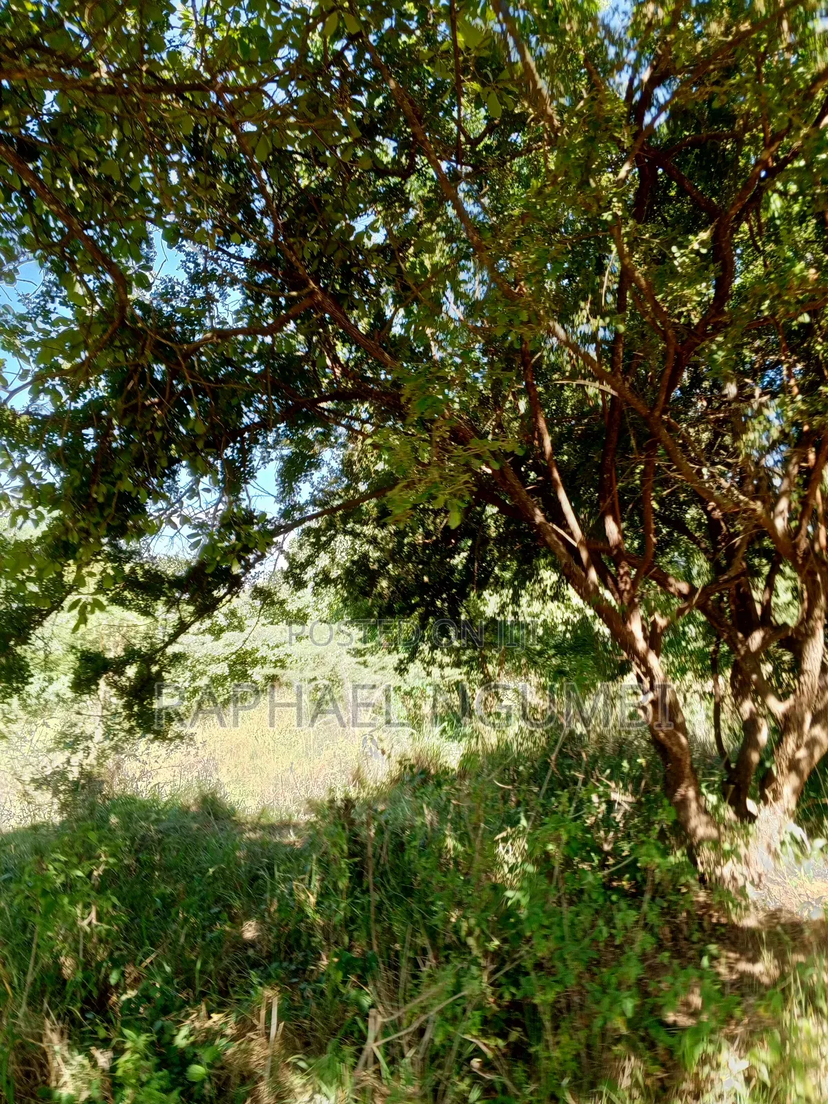 Ten (10) Acres at Machakos Kithangaini