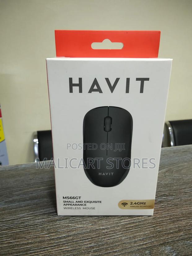 Havit Ms66gt Wireless Mouse - main view