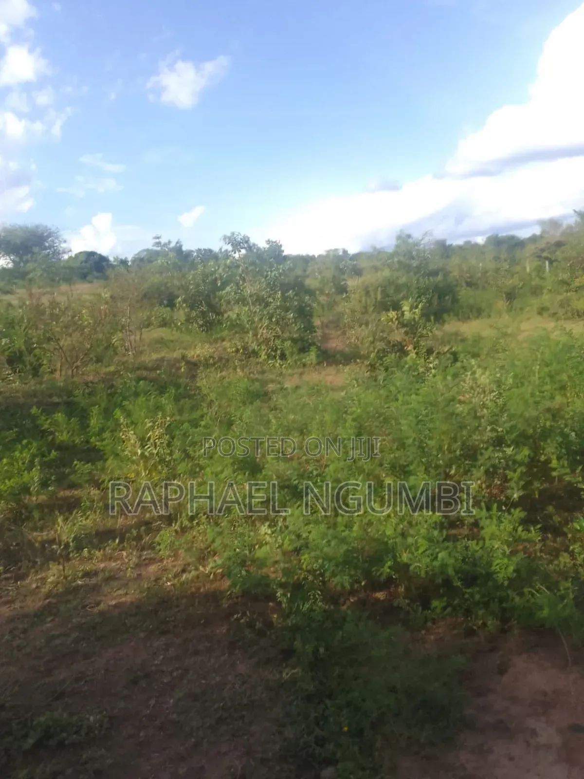20 Acres at Machakos Wamunyu Touching Athi River