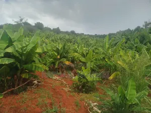 20 Acres at Machakos Wamunyu Touching Athi River