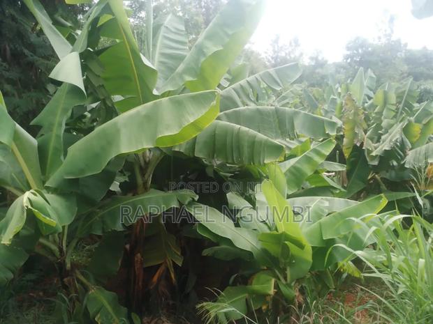 20 Acres at Machakos Wamunyu Touching Athi River