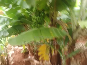 20 Acres at Machakos Wamunyu Touching Athi River