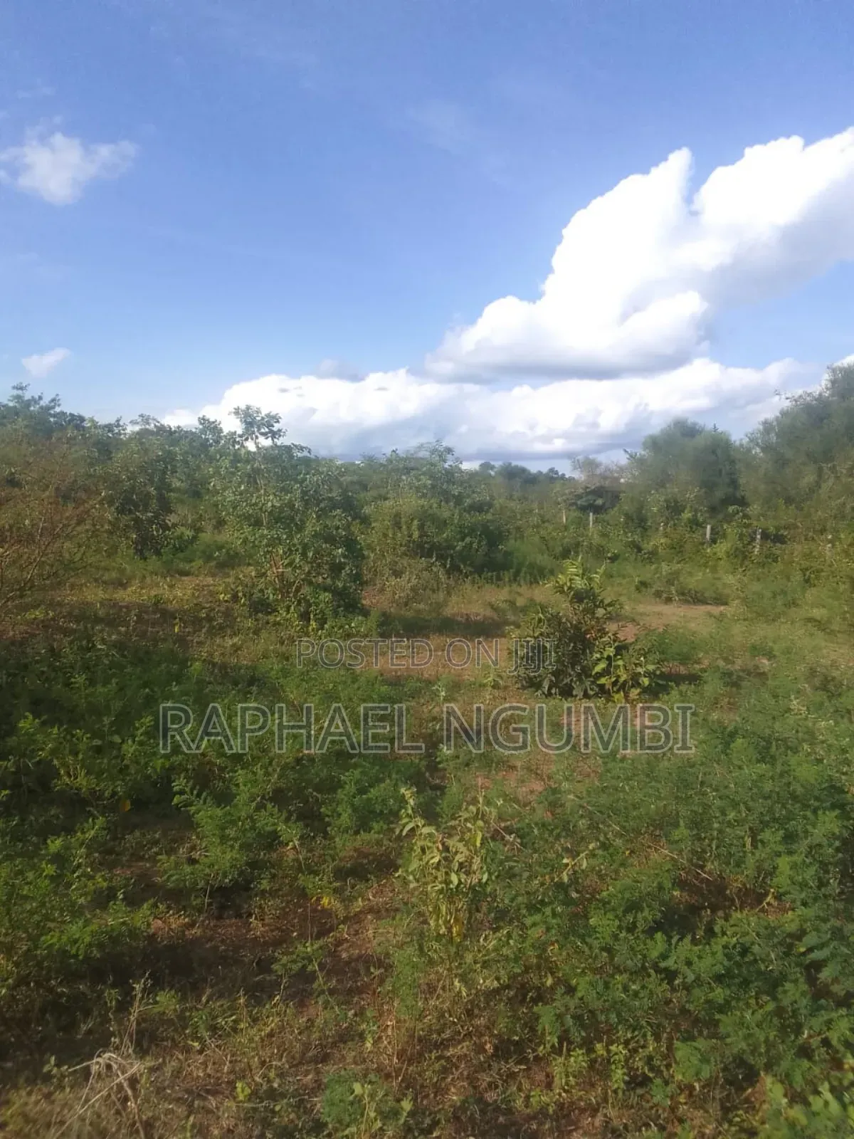 20 Acres at Machakos Wamunyu Touching Athi River