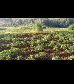 Quick Land Sale by Owner