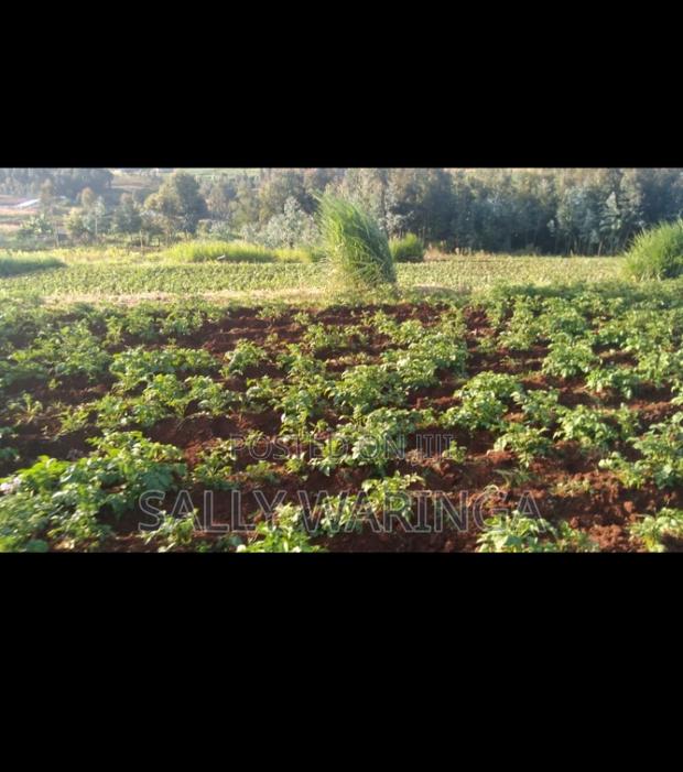 Quick Land Sale by Owner - thumbnail 2