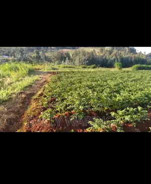 Quick Land Sale by Owner