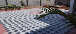 Cabros and Paving Works