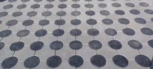 Cabros and Paving Works