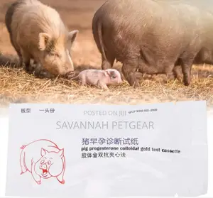 3 Pieces Pig Pregnancy Tester Strips Sow Early Test Kit