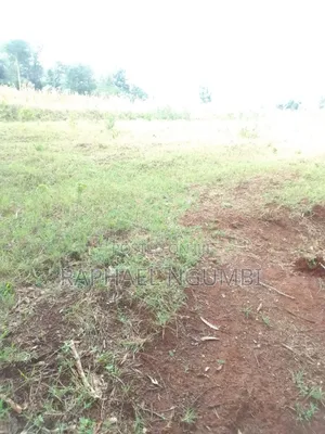 7 Acres at Mua Hills Kitanga
