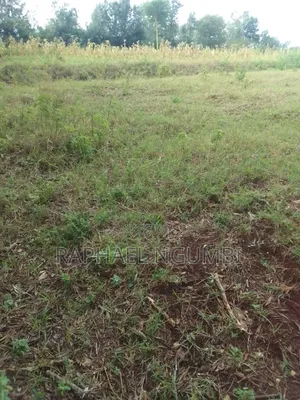 7 Acres at Mua Hills Kitanga
