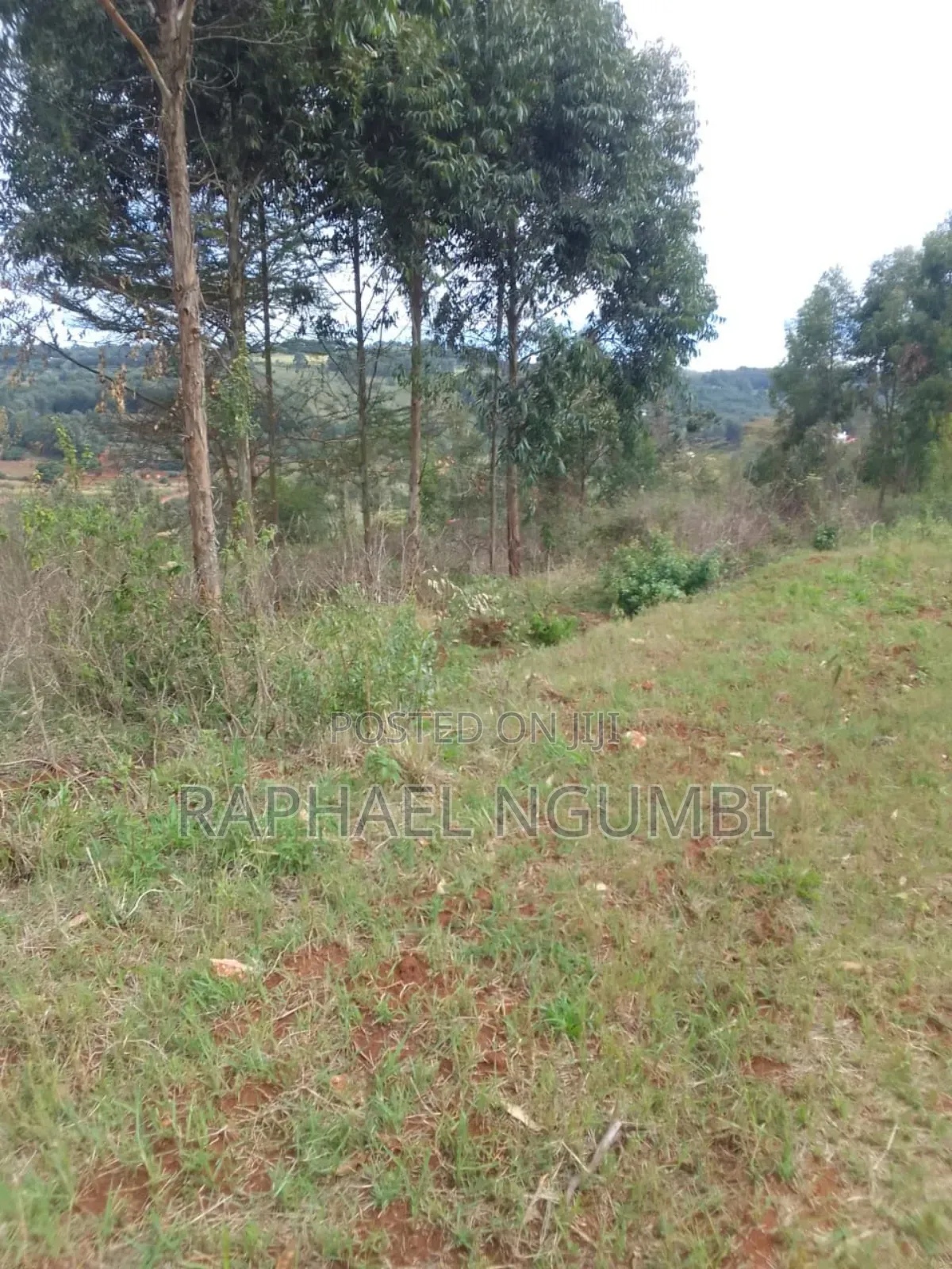 7 Acres at Mua Hills Kitanga