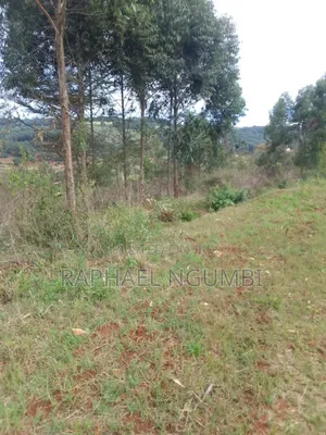 7 Acres at Mua Hills Kitanga