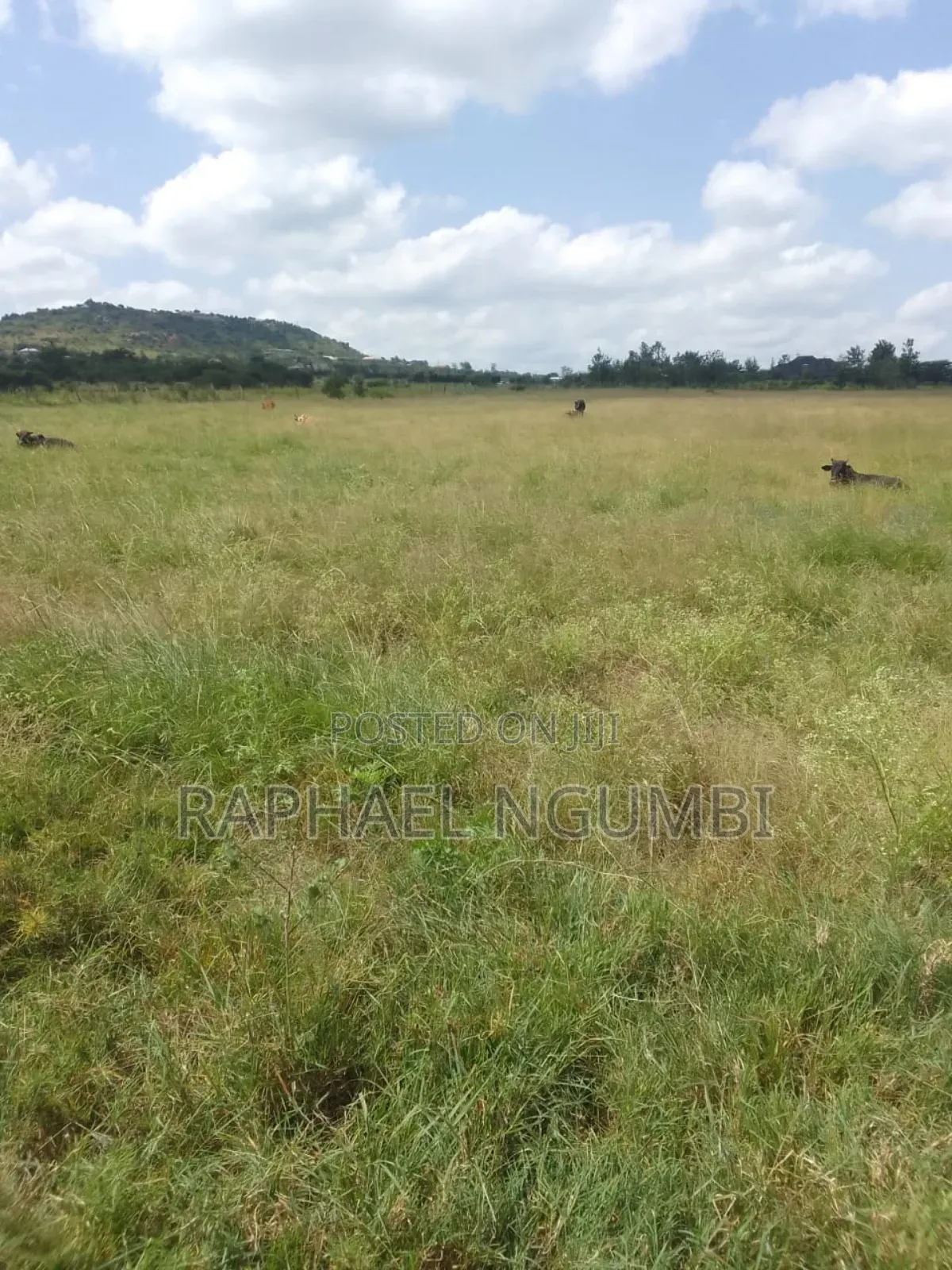 54 Acres Along Lukenya Kwale Road
