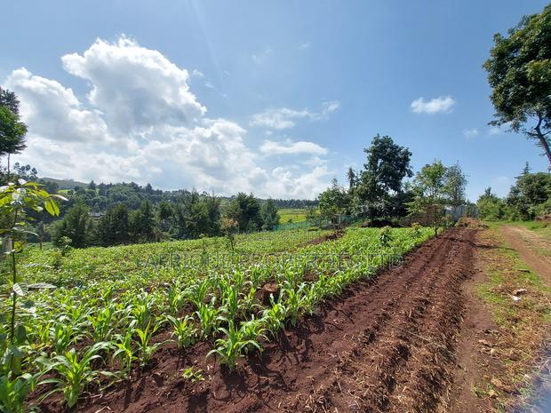 Tigoni 1/2 Residential Plot for Sale In - thumbnail 2