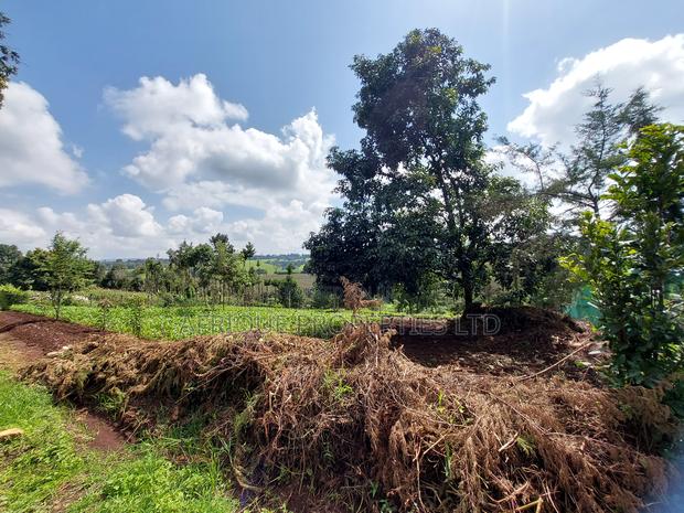 Tigoni 1/2 Residential Plot for Sale In - thumbnail 4