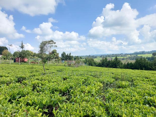 Tigoni 1/2 Residential Plot for Sale In - thumbnail 6