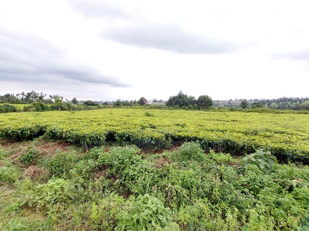Tigoni 1/2 Residential Plot for Sale In - thumbnail 7