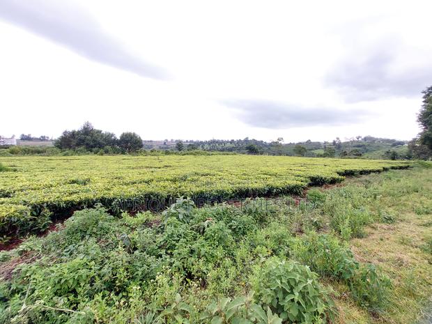 Tigoni 1/2 Residential Plot for Sale In - thumbnail 8