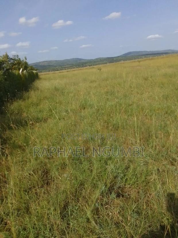 100 Acres at Daystar University - main view